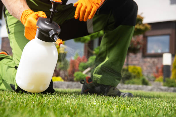 Best Local Pest Control Services  in Pasco, WA