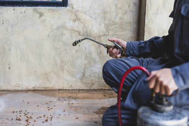 Best Pest Control Near Me  in Pasco, WA