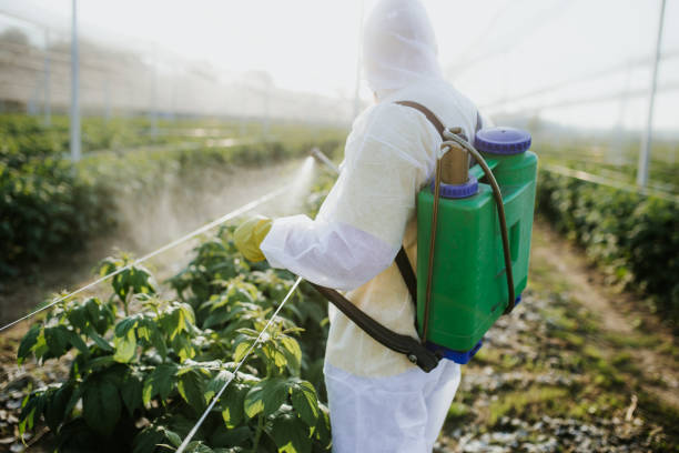 Best Rat Extermination Near Me  in Pasco, WA